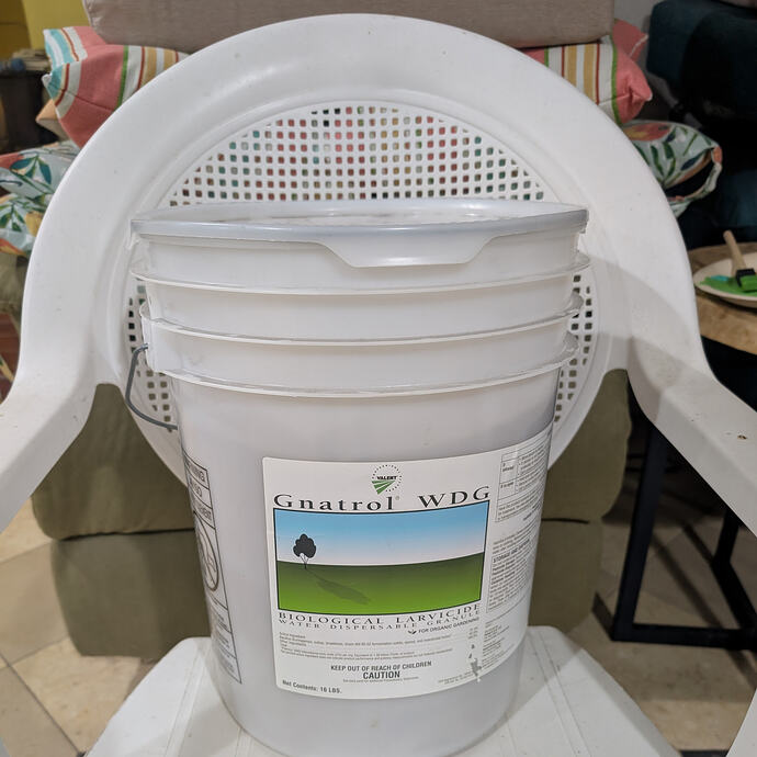 PXL_20260203_024334118