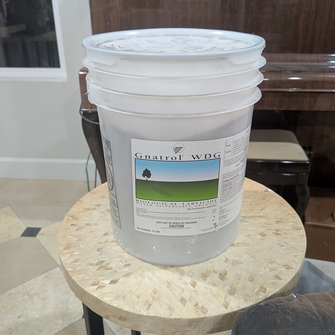 PXL_20251107_044352094