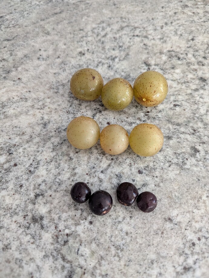 PXL_20250910_130600033