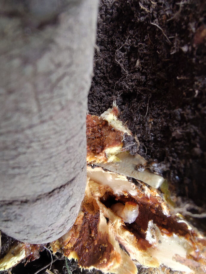 IMG_20260402_154008558_HDR