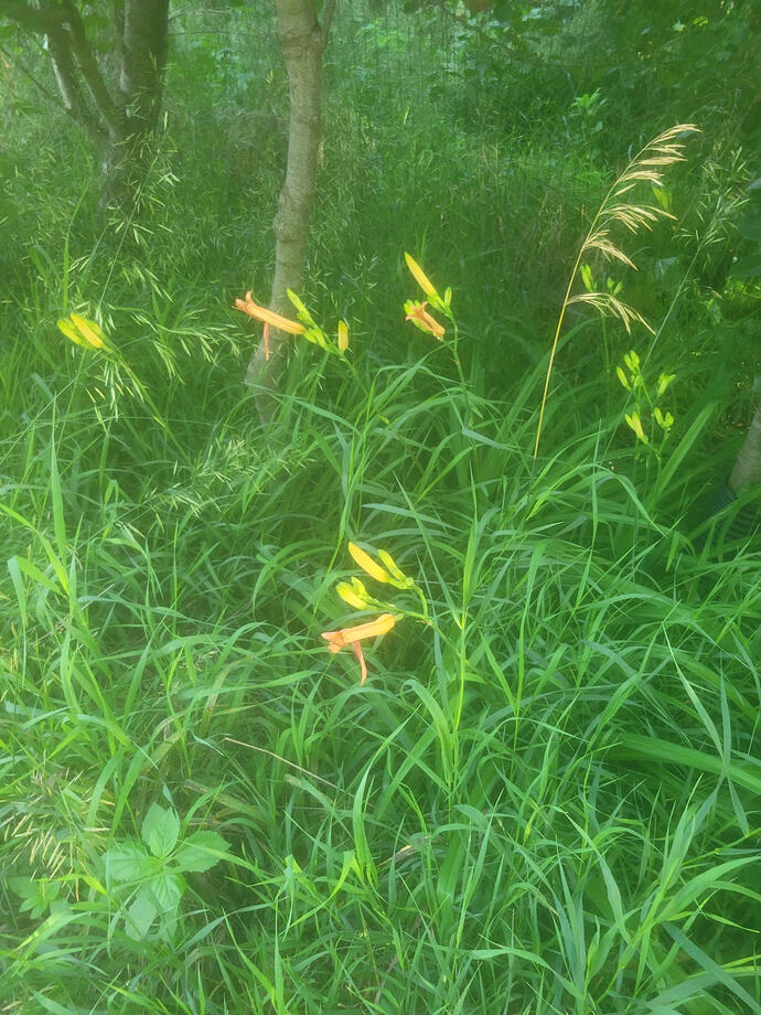 20260606_073059