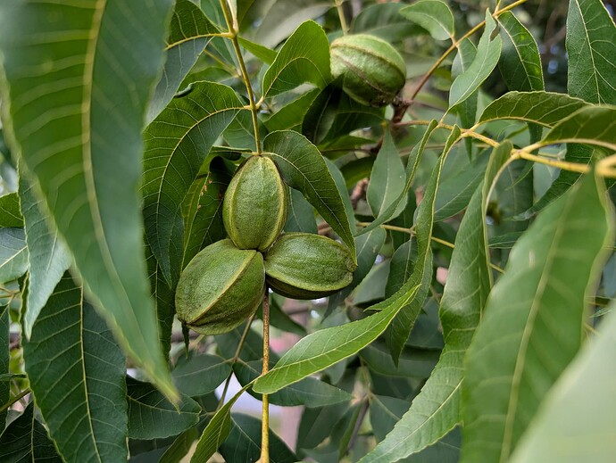 PXL_20250914_222942935