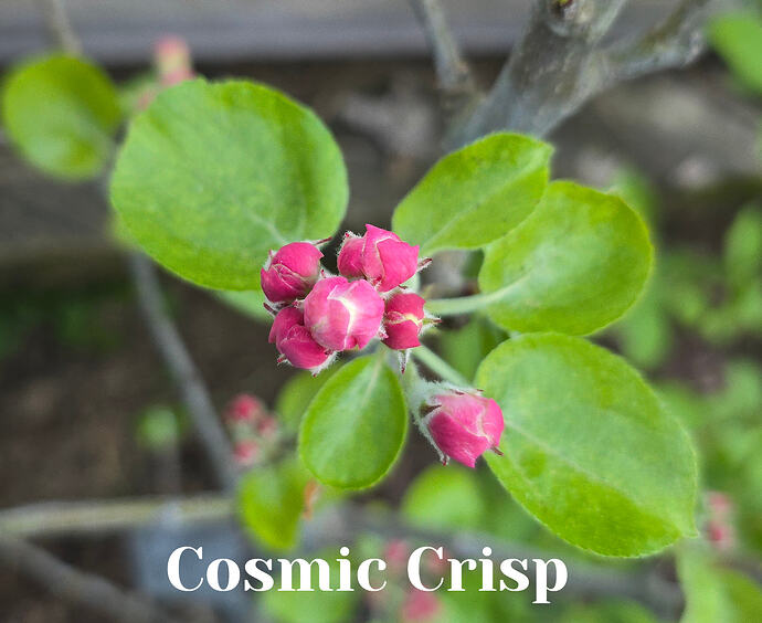 20260409_080320 (2026-04-09T18_55_28.982)