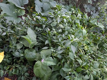 PXL_20250914_020451534