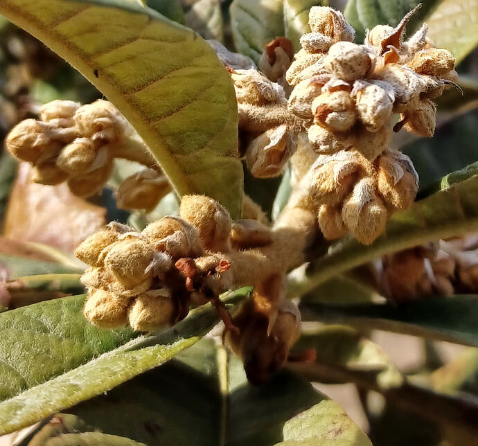 20260217_143120_Cropped