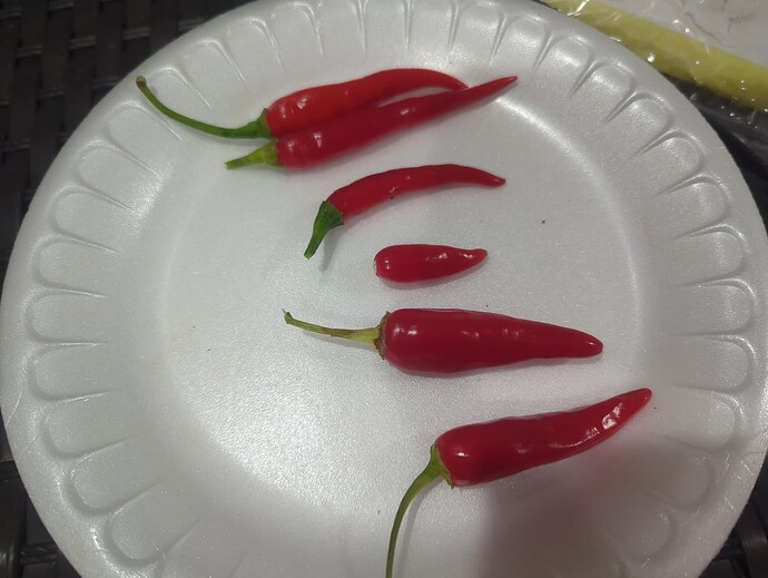 17582861904553104259524117415587