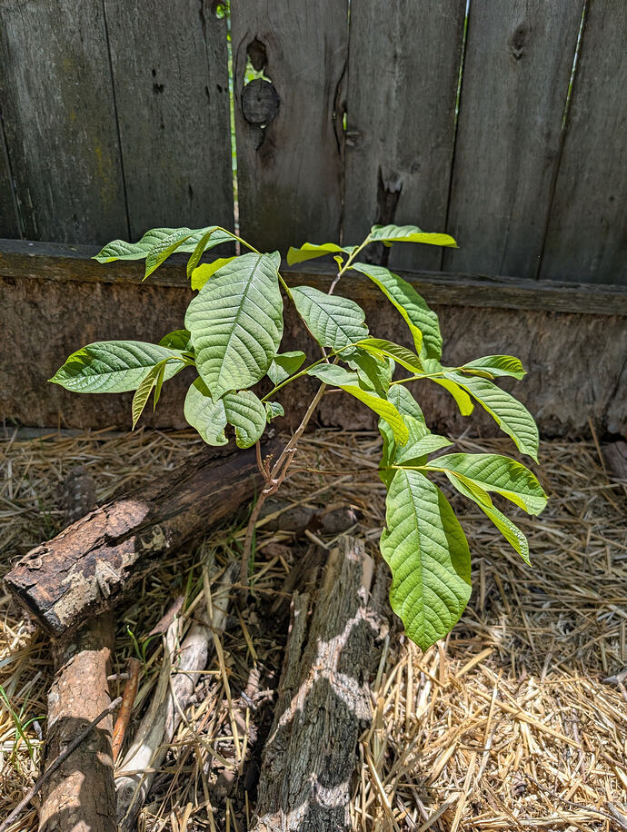 PXL_20260606_205340253