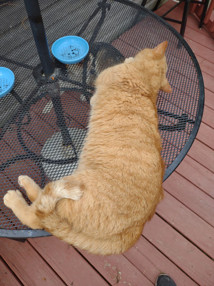 IMG_20250514_165518535