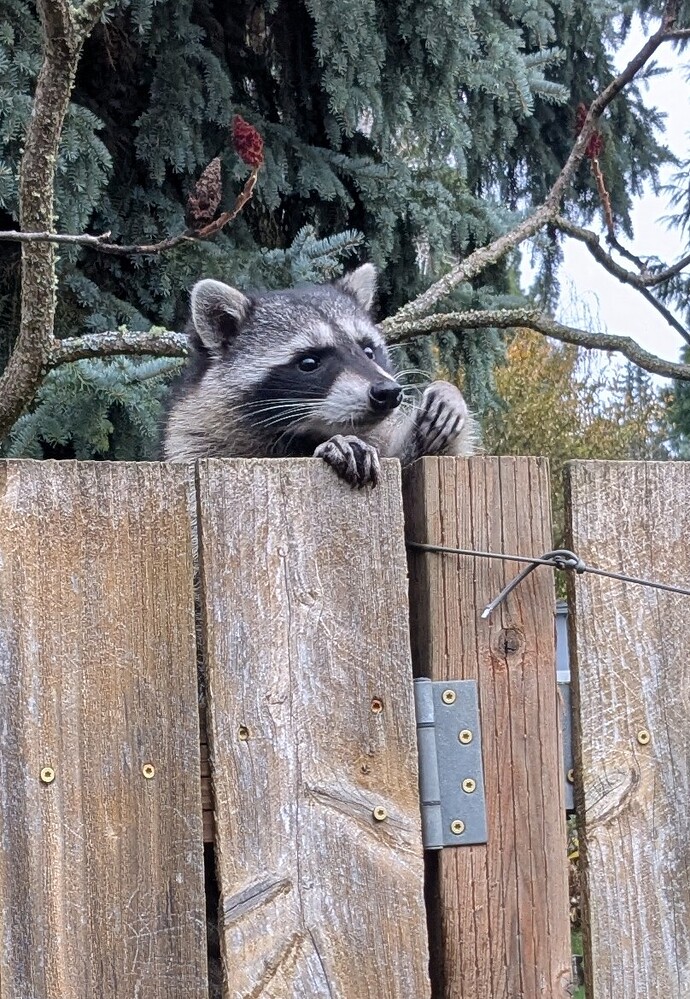 PXL_20251110_161011454~2