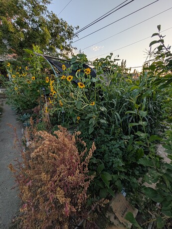 PXL_20250825_023019006