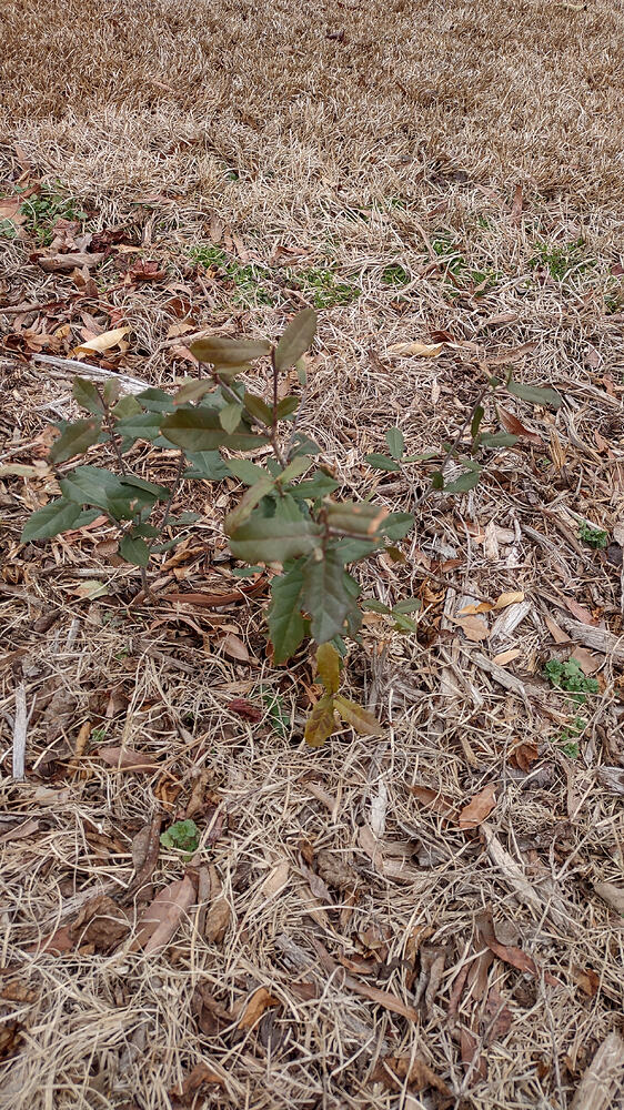 IMG_20260211_135446587_HDR