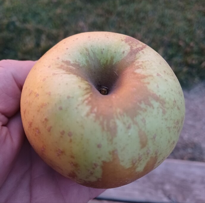 Screenshot_20250823_200754_Gallery