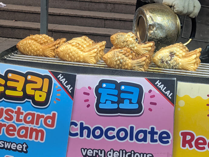 PXL_20260222_044652763