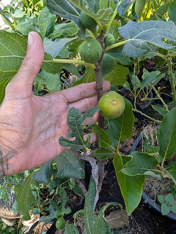 PXL_20250724_214555637