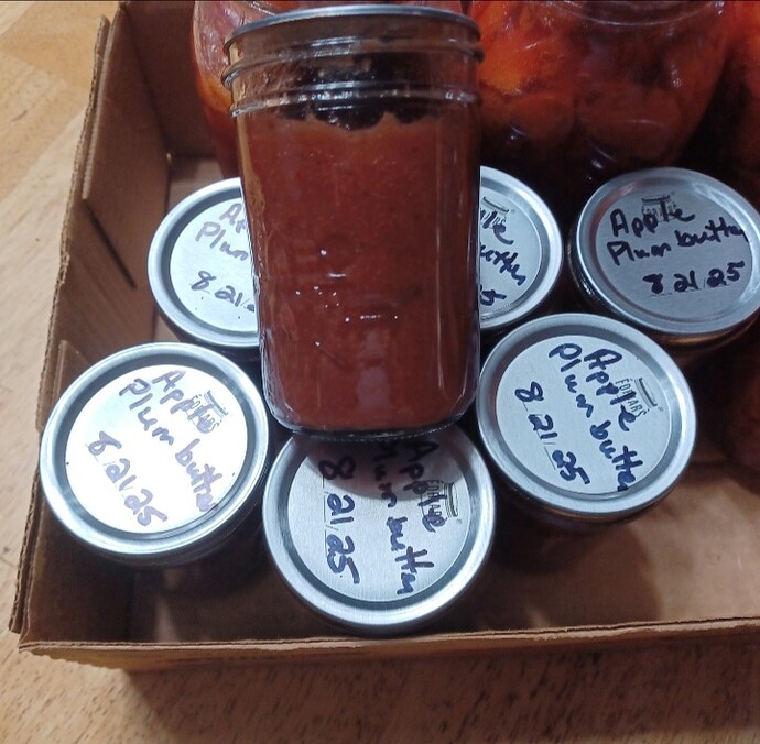 Screenshot_20250823_124531_Gallery