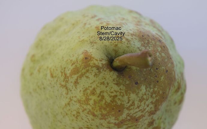 POTOMAC STEM 8-28-2025RS