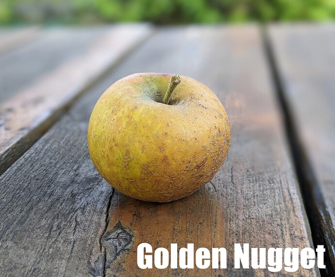 Golden Nugget_2025
