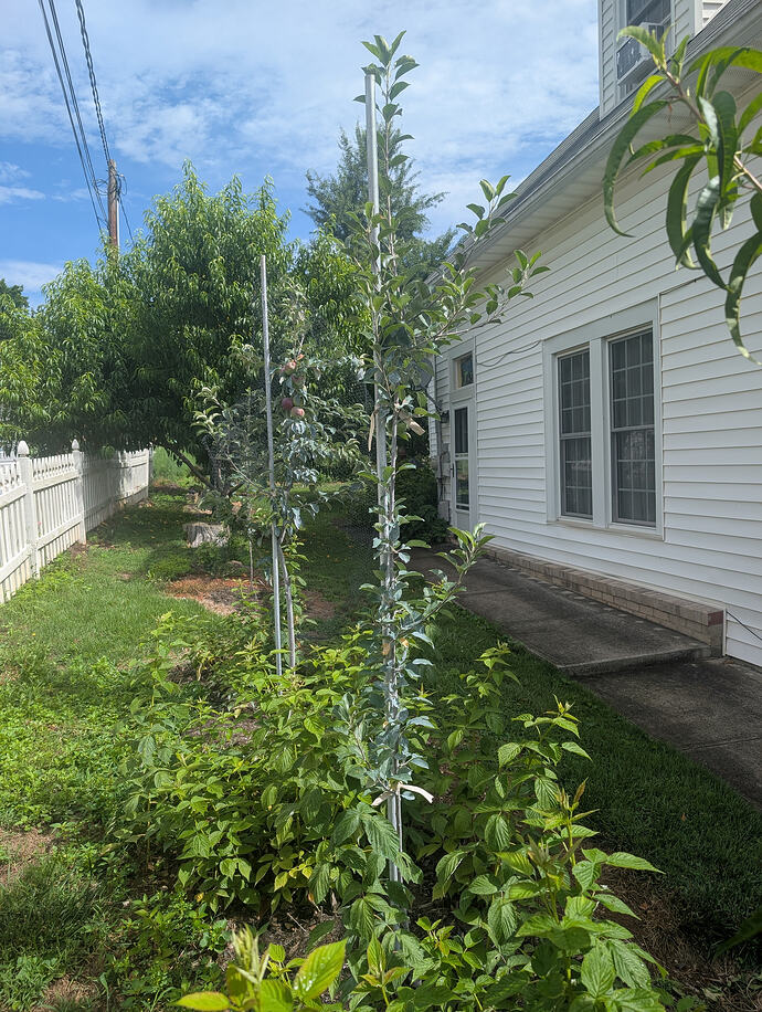 PXL_20260628_143518956