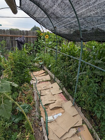 PXL_20250718_232131205