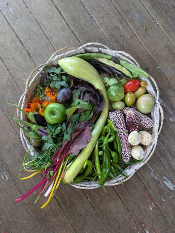 PXL_20250822_215519015