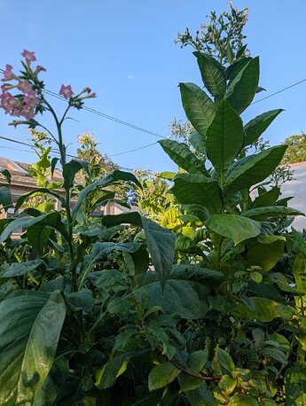 PXL_20250908_003353130