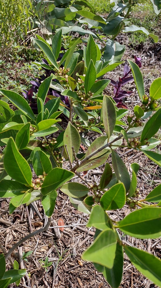 IMG_20250707_094157071_HDR