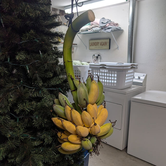 PXL_20260303_035717703