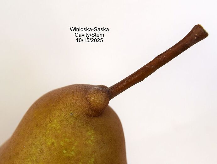 Winioska-SaskaStem10-15-2025RS