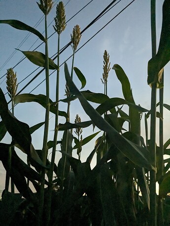 PXL_20240917_022325758