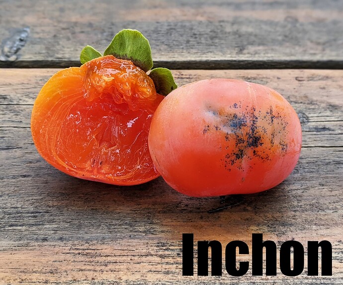 Inchon_2025