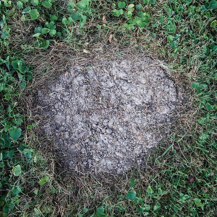 string cutter grass hole for tree (5)