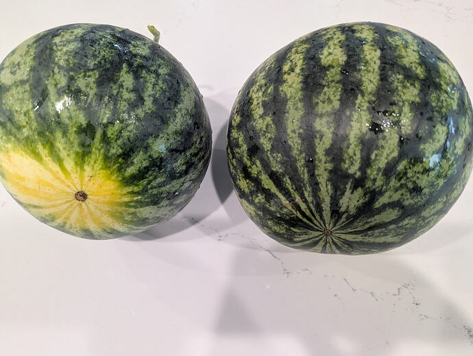PXL_20260730_214016723