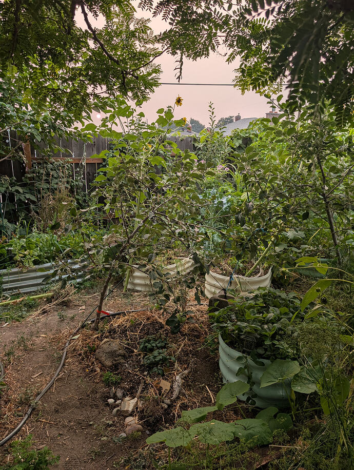 PXL_20260804_024026697
