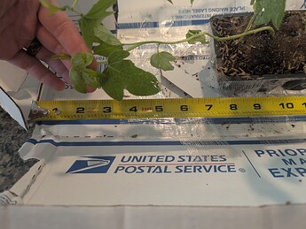 PXL_20250709_205444706