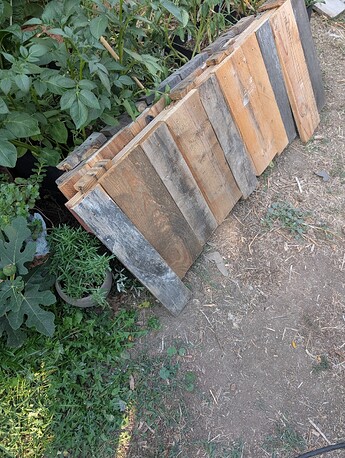 PXL_20250912_231553607