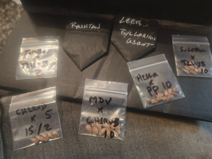 IMG_20260121_125859257_HDR~2