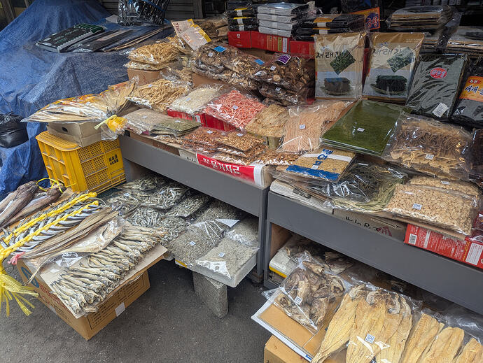 PXL_20260224_064831143