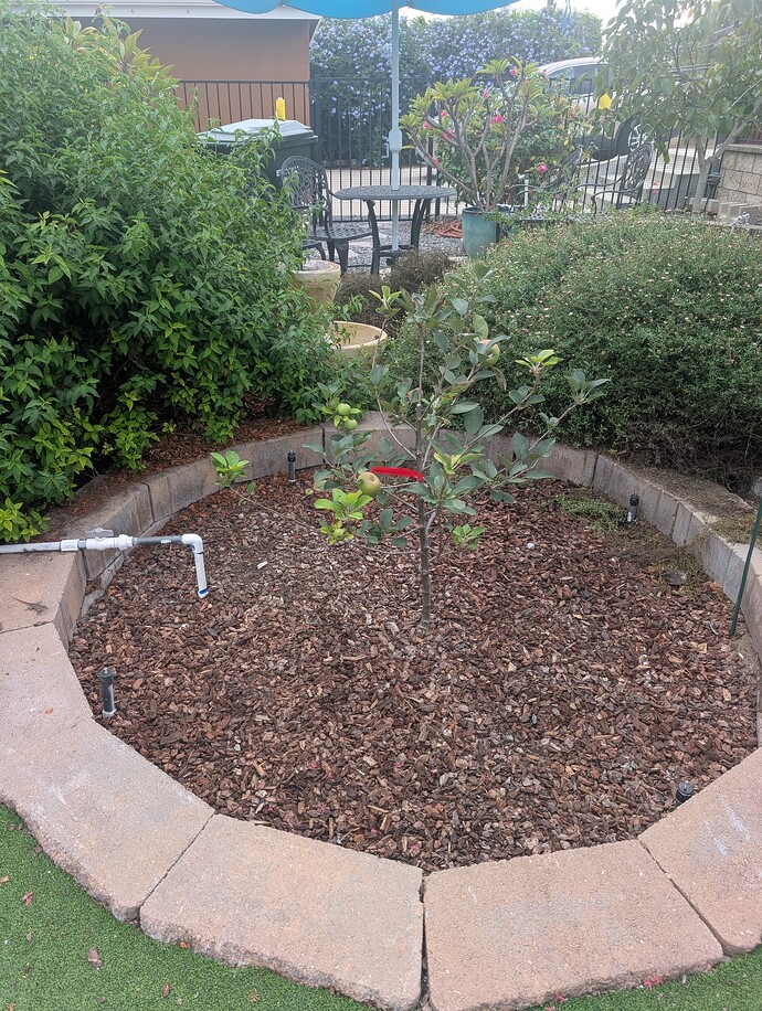 PXL_20251009_230614199