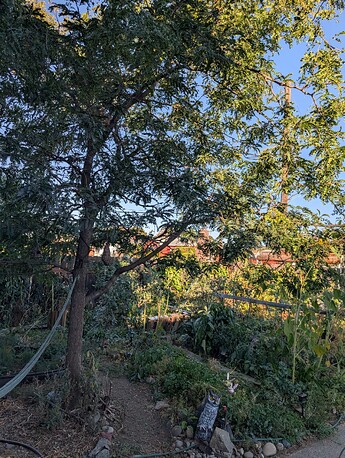 PXL_20251007_153405028