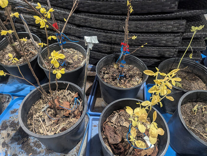 PXL_20260120_040300385