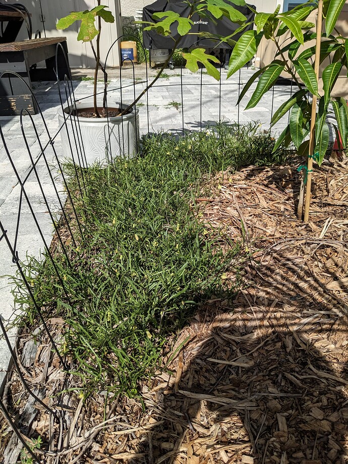 PXL_20250903_102924766