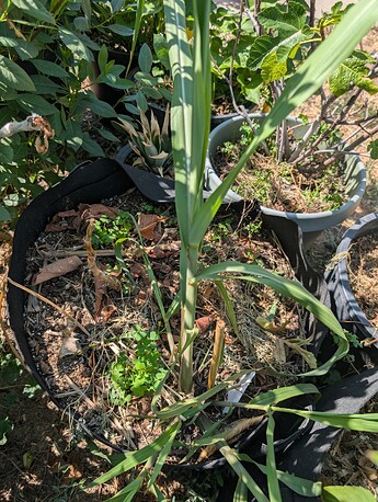 PXL_20250724_220852045