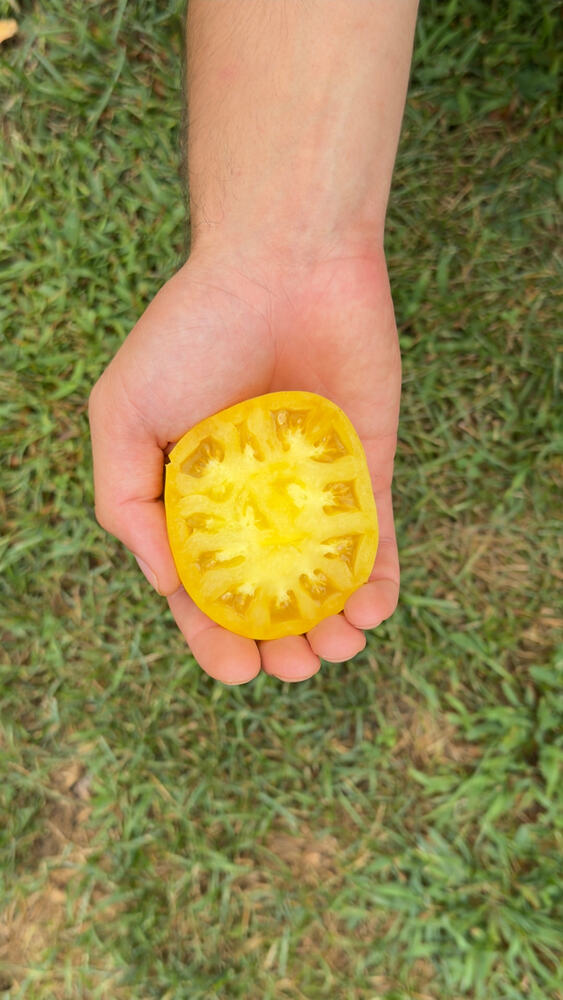 Screenshot_20260202_123245_Drive