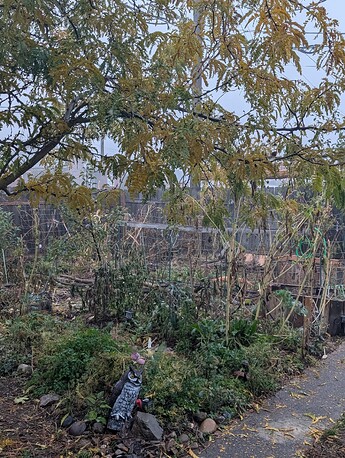 PXL_20251111_150651146