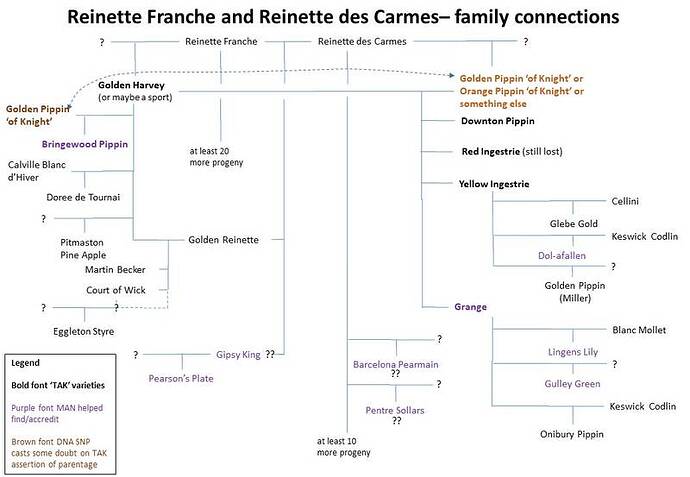 RF-x-RdC-progeny-Family-Tree