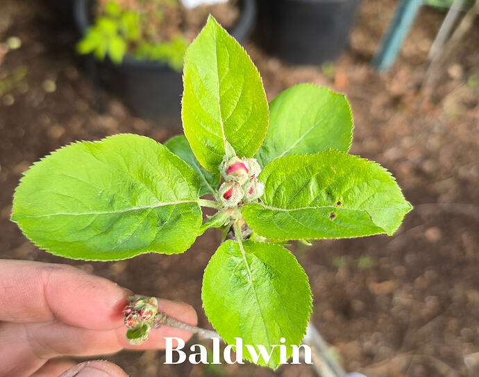 20260402_104529 (2026-04-04T14_26_13.839)