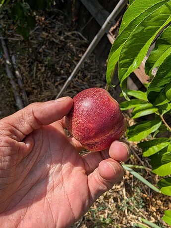 PXL_20250814_233052811