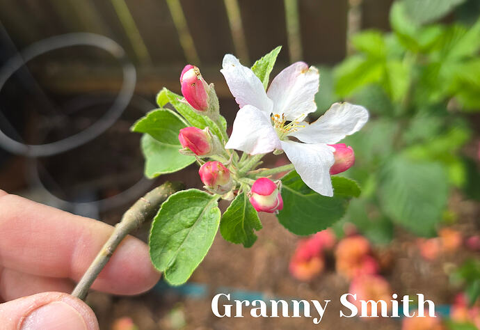 20260331_133316 (2026-04-01T18_59_46.387)