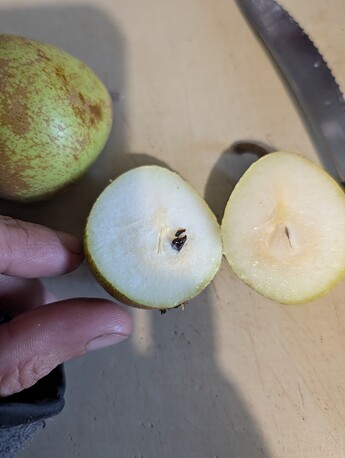 PXL_20251007_184103833