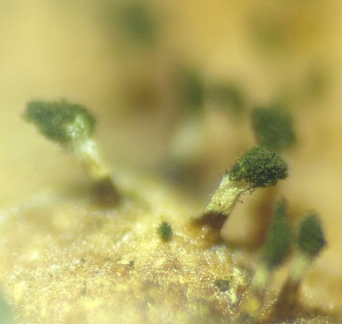 PXL_20240907_134339388